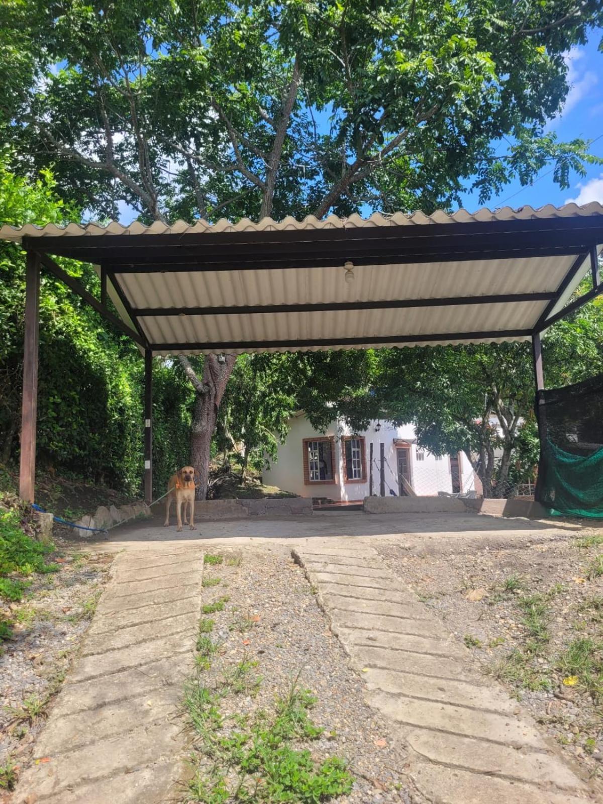 Richystore And Luna Nueva Summer House Holiday home
