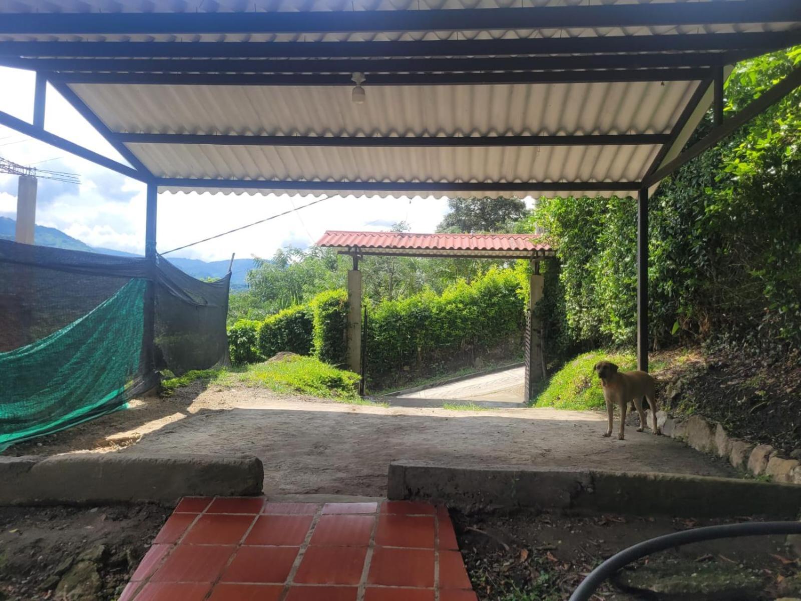 Holiday home Richystore And Luna Nueva Summer House *